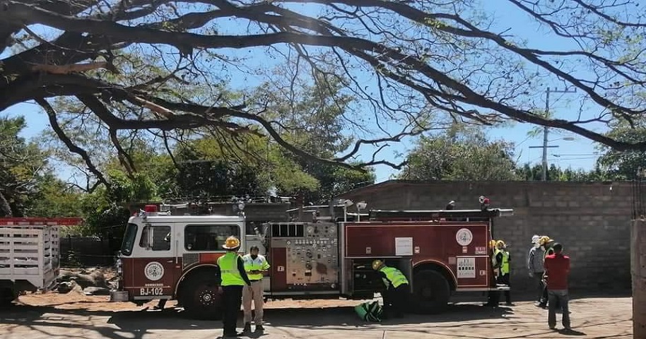 Poda Protección Civil árbol en riesgo de colapso, en colonia 25 de Mayo