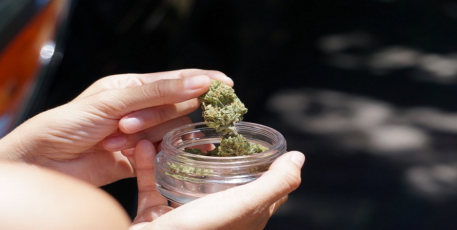 La discusión sobre la regulación del cannabis supone un avance, pero la batalla sigue