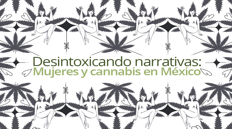Desintoxicando narrativas: Mujeres y cannabis en México