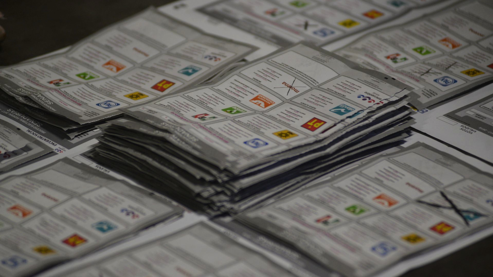 Pese a berrinche del PT, el PVEM aparecerá primero en la boleta electoral; confirma TEPJF