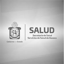 Del 26 de abril al 9 de mayo, Oaxaca estará en semáforo amarillo: SSO