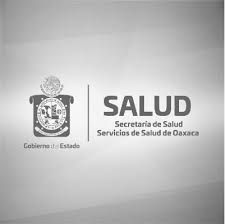 Exhortan los SSO a mujeres embarazadas a acudir a las consultas prenatales