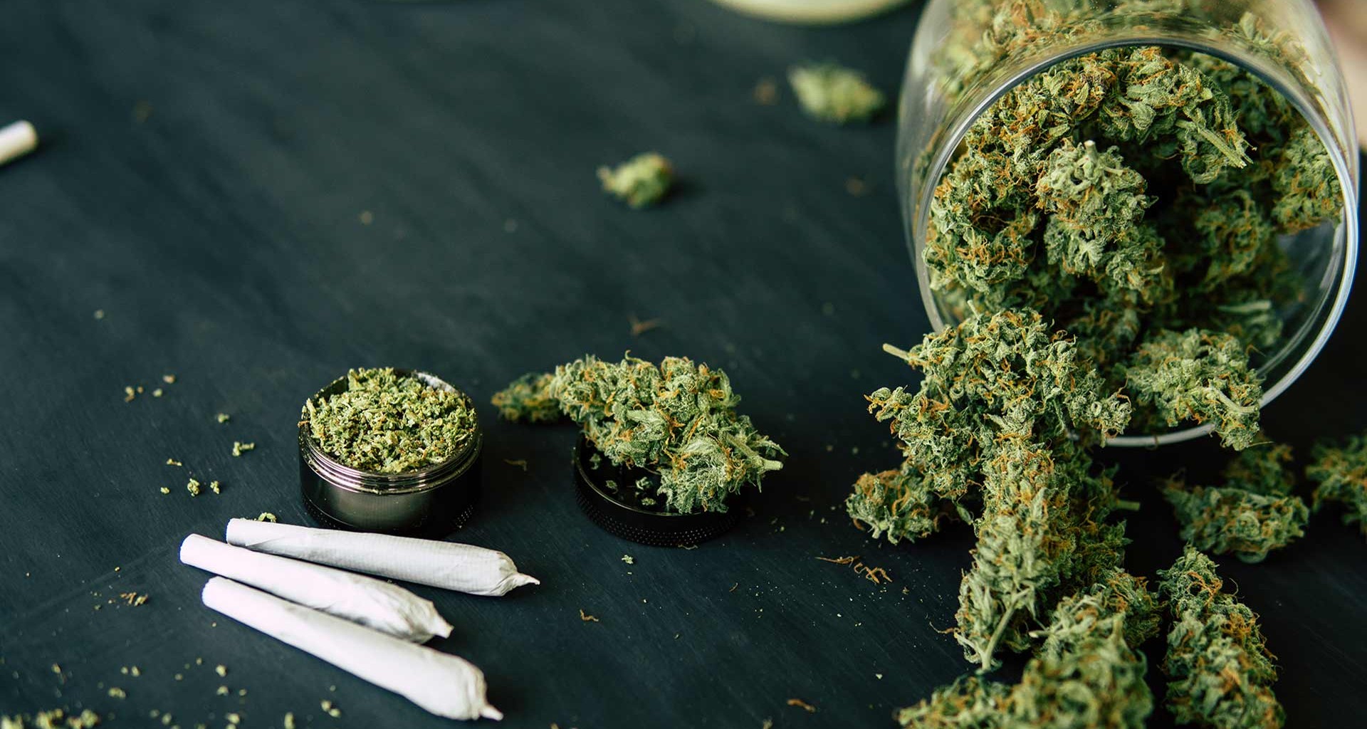 SCJN, a un paso de abonar a la despenalización del cannabis