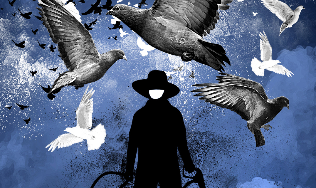 El «exterminador» de palomas