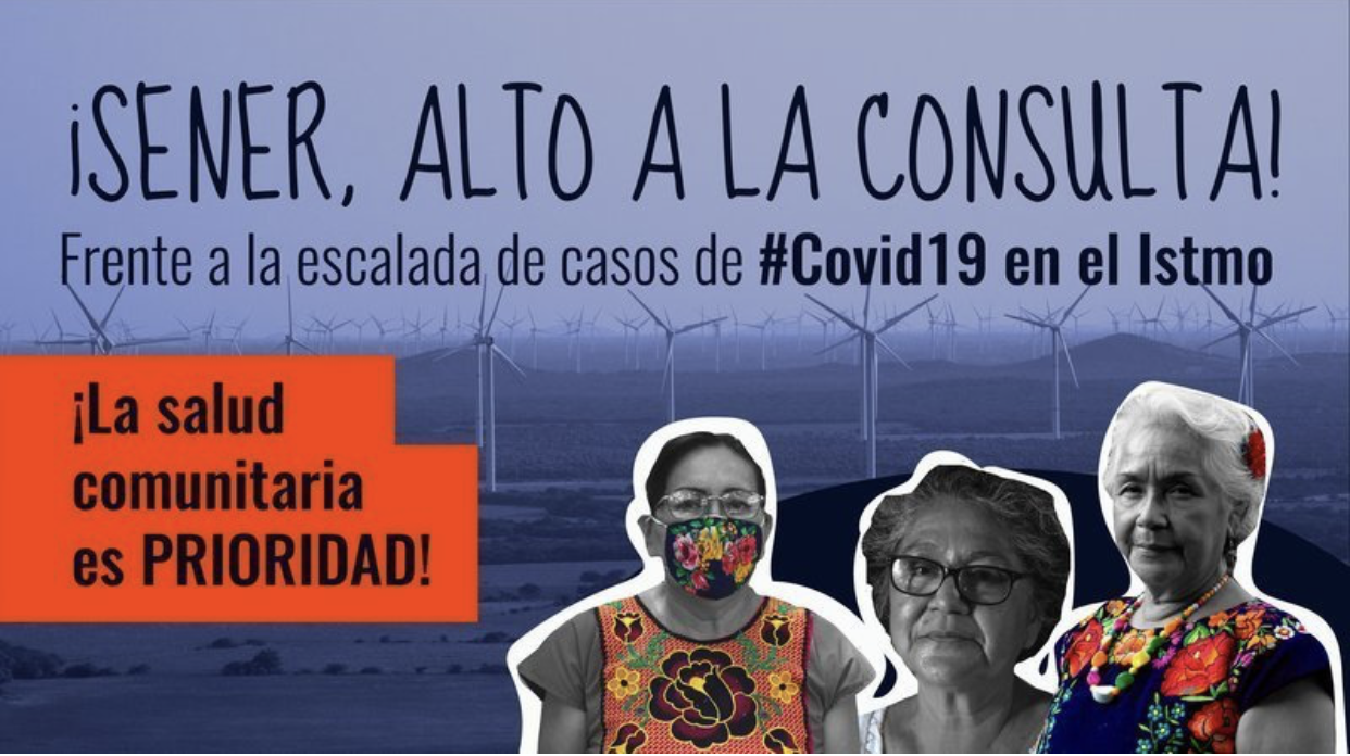 Piden a Sener suspender consulta indígena sobre parque eólico por aumento de contagios y muertes por covid-19