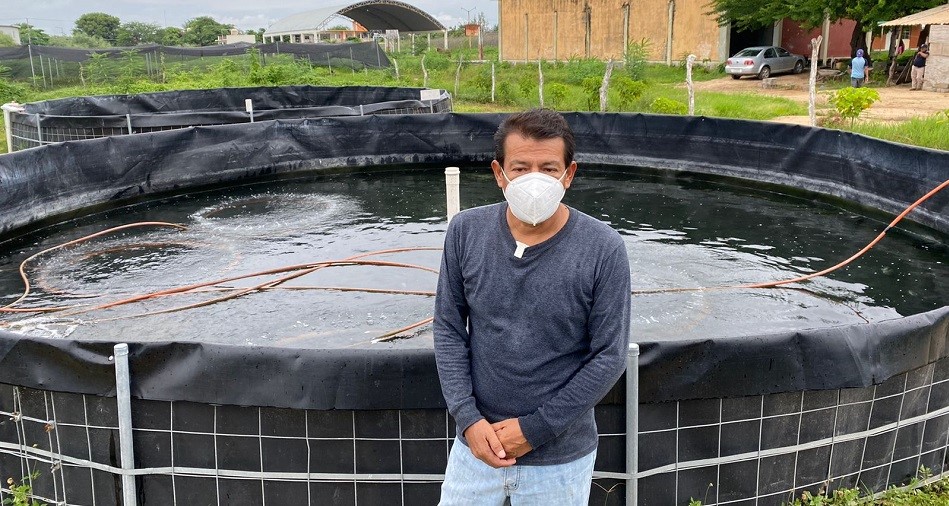 Un éxito, segunda etapa de comercialización de tilapia producida en estanques: Proyecto Municipal Acuícola