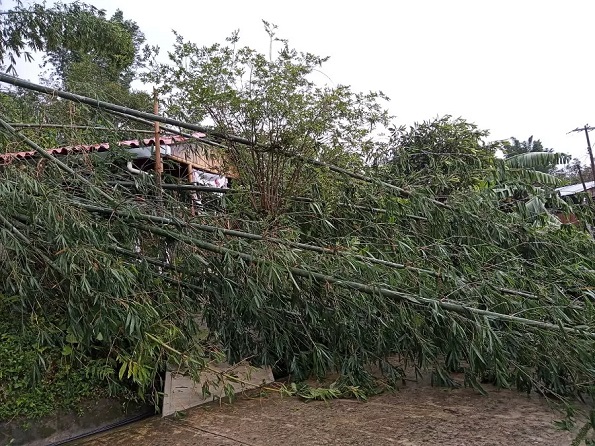 Sin comunicación ni ayuda, así vive la Sierra Norte de Puebla tras Grace