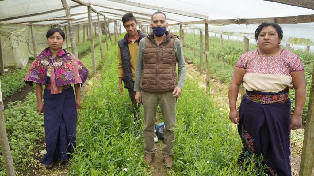 Jóvenes Construyendo el Futuro suma ya 233,581 aprendices de comunidades indígenas 