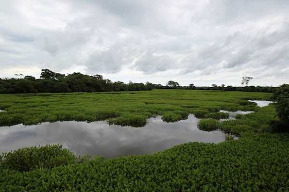 Pobladores de San Cristóbal de Las Casas reconocen nulos avances para combatir la contaminación en mantos acuíferos