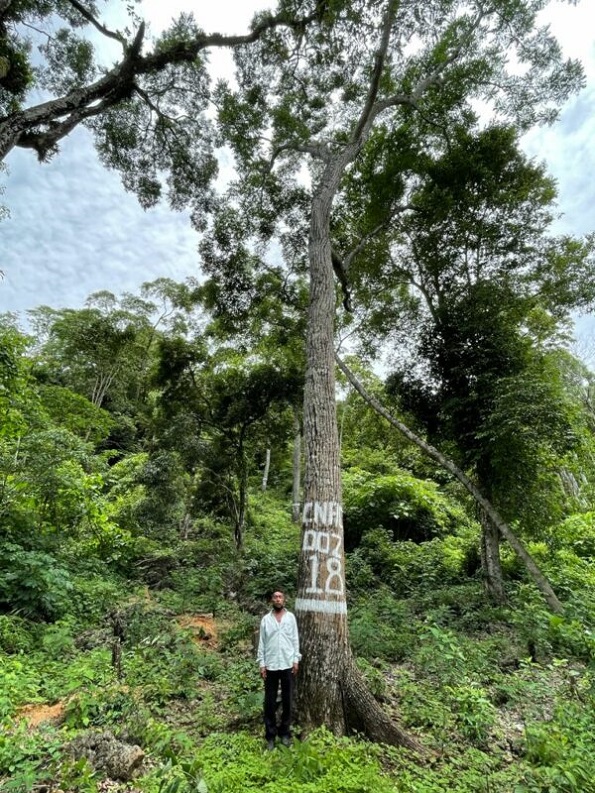 Roger Vanué, el campesino que lucha contra la extracción ilegal de semillas de cedro rojo