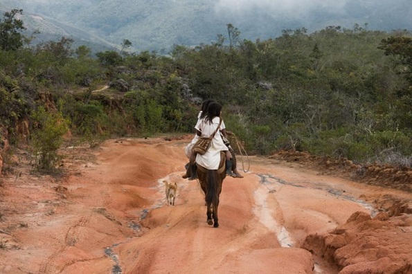 Colombia: sentencias constitucionales son traducidas a idiomas indígenas