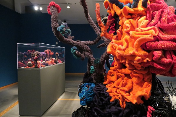 Uno de los proyectos artísticos más grandes del mundo, el “crochet coral reef”, llega a méxico para concientizar sobre la crisis climática