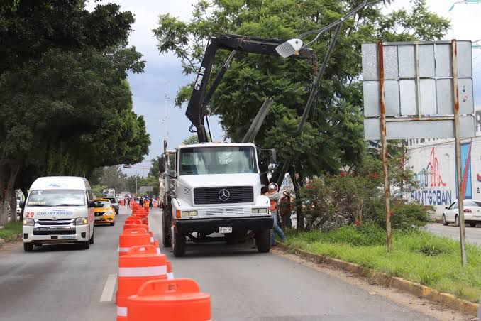 PJF ordena detener tala de arbolado en obra de Símbolos Patrios; presentado estudio de impacto ambiental se levantaría suspensión