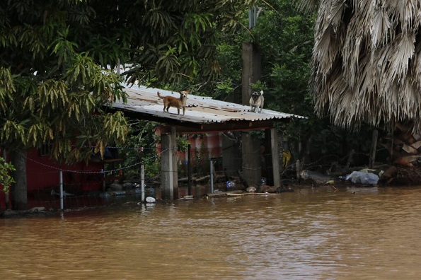 En el sur de Culiacán el agua les llegó ‘hasta los dientes’