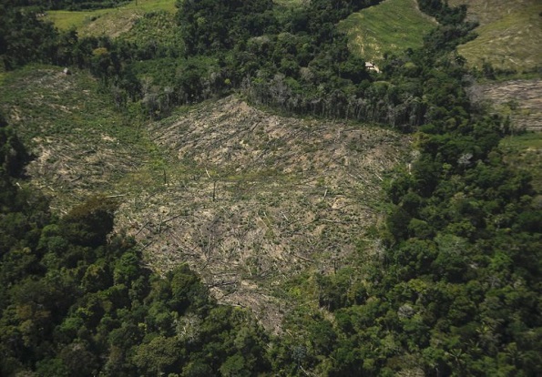 Perú: más de 12 mil hectáreas de deforestación y 9 pistas de aterrizaje para narcotráfico en Ucayali