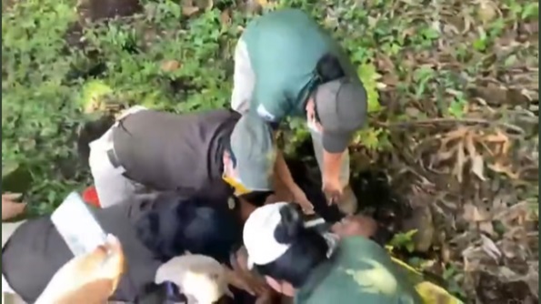 Denuncian fuerza excesiva contra migrantes y agresiones contra prensa y activistas