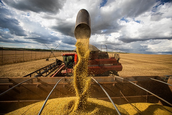 “Agrosuicidio”: la producción de granos en Brasil depende de acabar con la deforestación | Nuevos estudios