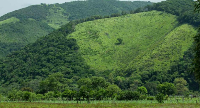 Exigen a la SCJN emitan sentencia final a favor de pueblos zoques de Chimalapas ante conflicto creado por Chiapas