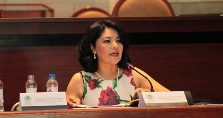 Presidenta del TEEO es deudora alimentaria, denuncian sus hijos; acusan tráfico de influencias