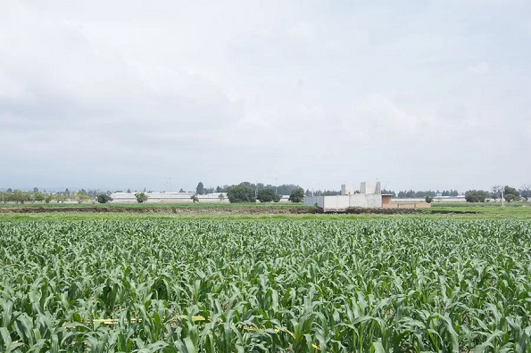 Confirmado: socavón se formó por extracción de agua y factores naturales