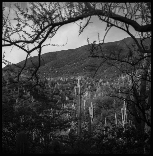 Con concurso de fotografía documentan el patrimonio natural