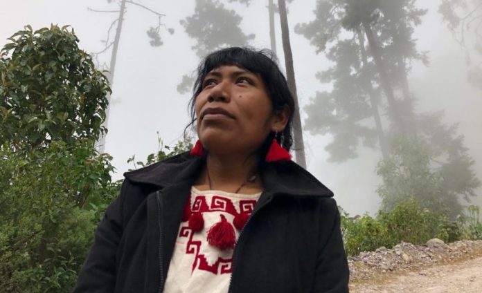 Red de Defensoras pide a fiscalías de Oaxaca y CdMx no revictimizar a Irma Galindo