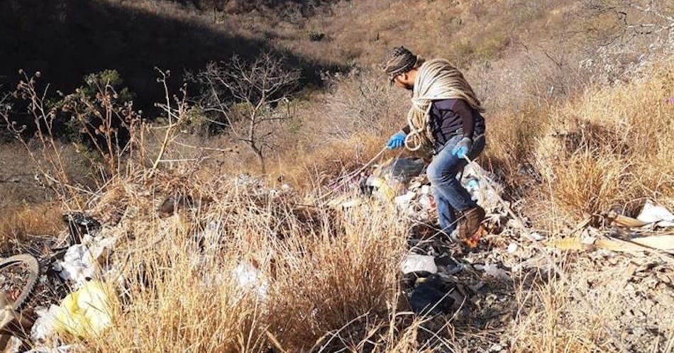 Sabuesos buscadoras en Oaxaca 1