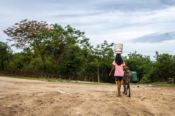 Seguirá desplazada la niña que denunció haber sido obligada a casarse en la Montaña