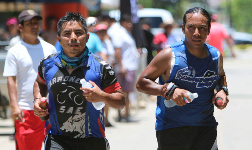Carroñeros a conquistar la Ruta del Café 