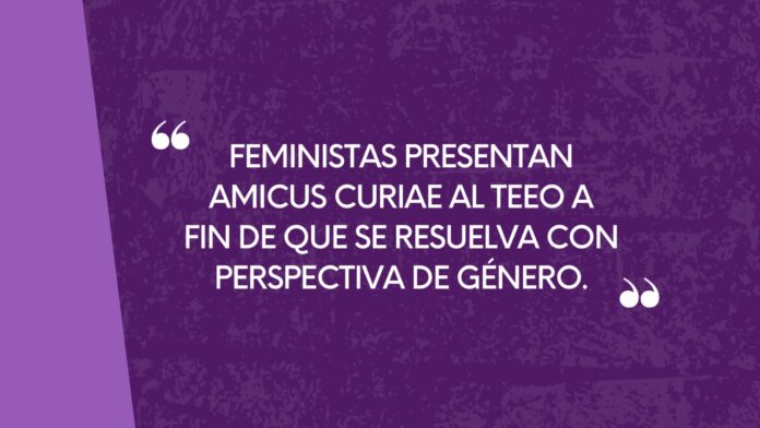 Feministas presentan Amicus Curiae al TEEO a fin de que se resuelva con perspectiva de género.