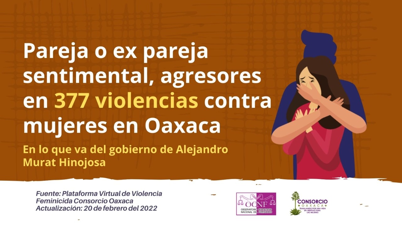 Pareja o ex pareja sentimental, agresores en 377 violencias contra mujeres