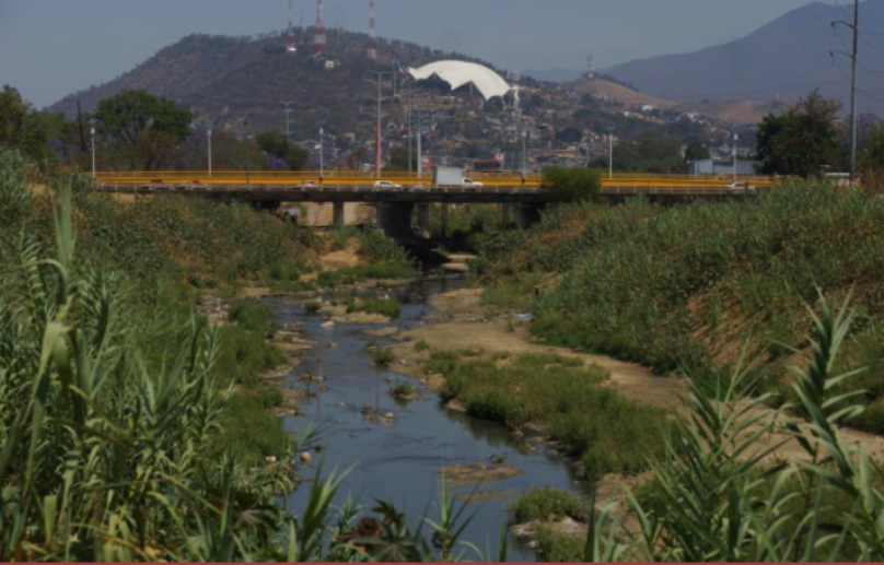 En Oaxaca persiste contaminación de ríos, basura  y deforestación, reprochan diputados a Semaedeso
