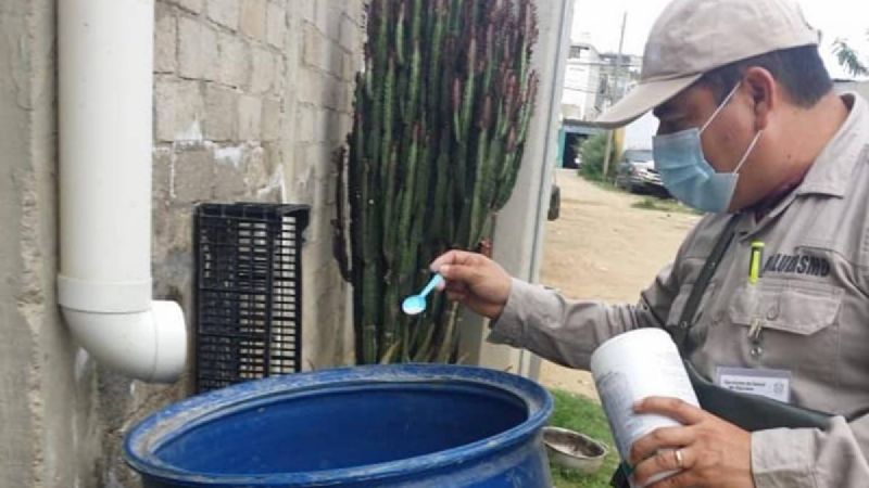 Confirman 12 casos de dengue por lluvias atípicas en Oaxaca; 6 presentan signos de alarma y uno grave