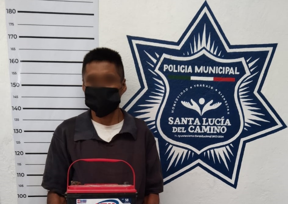 Persona detenida en Santa Lucía del Camino por el delito de robo