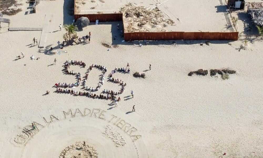 Exigen a Murat detenga proyecto inmobiliario en Playa Bacocho que pone en riesgo un santuario de tortugas en peligro de extinción 