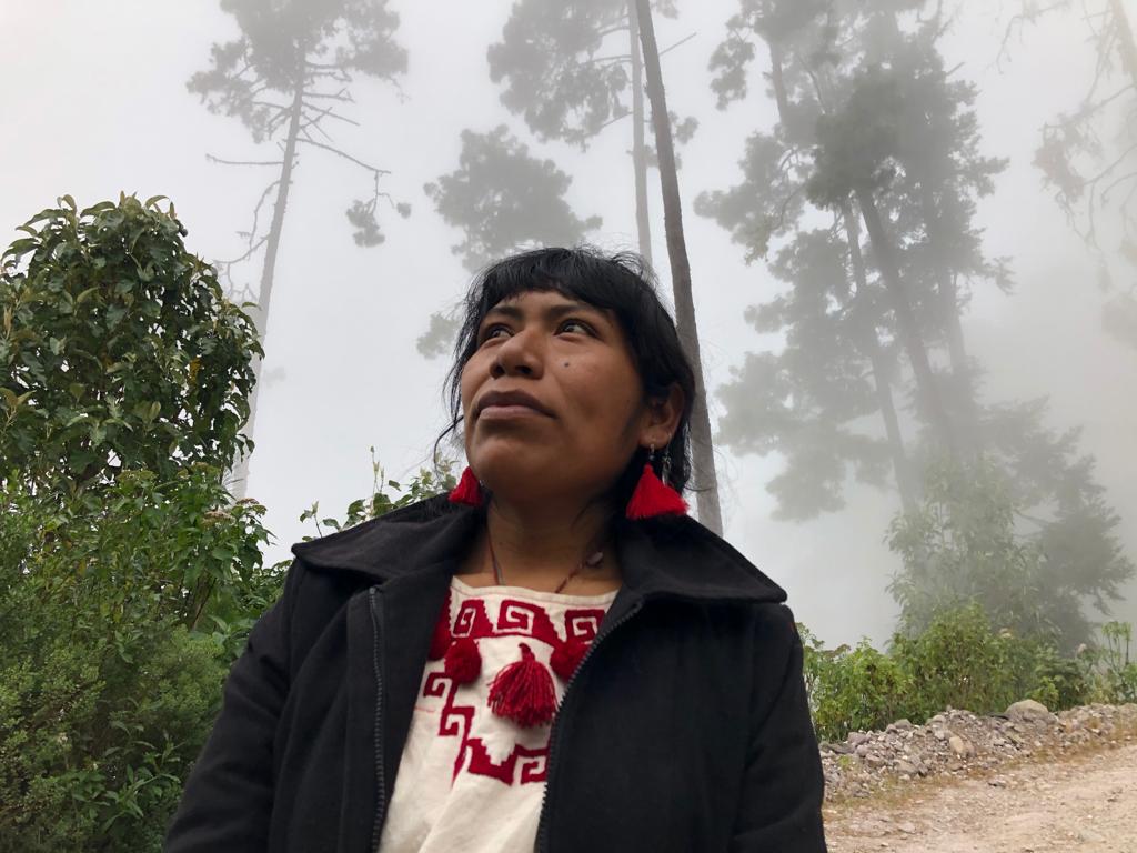 Desaparición de Irma Galindo, una probable desaparición forzada: CEMDA