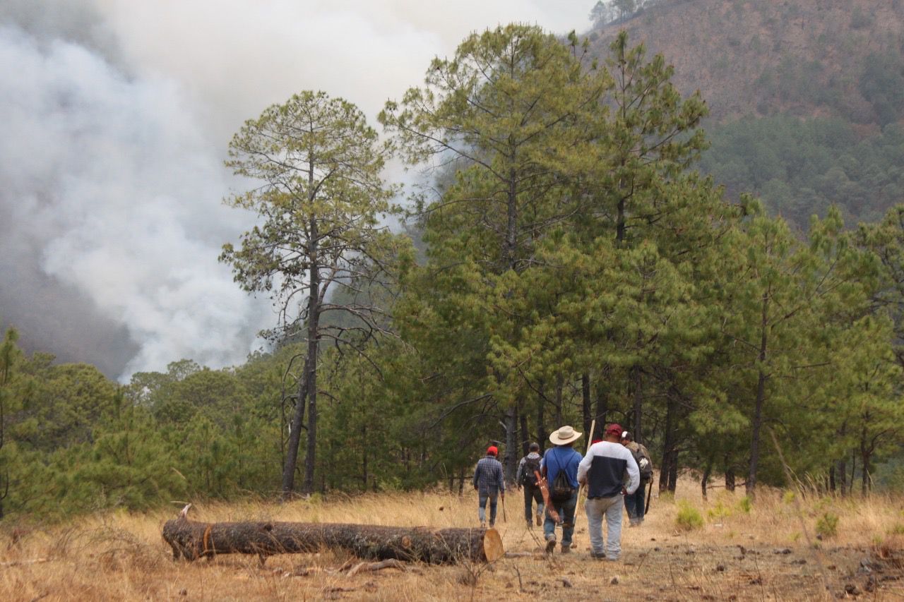 Chimas denuncian dos incendios provocados por chiapanecos en su territorio