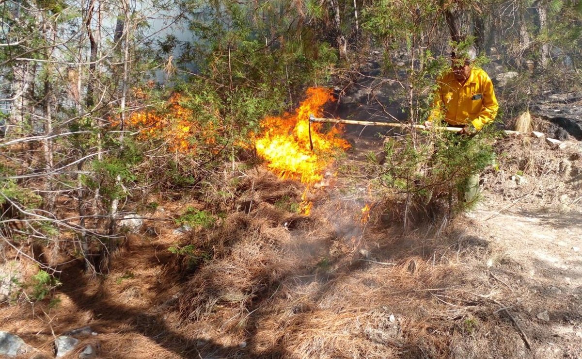 Incendio forestal en Magdalena Peñasco cobra la vida de cuatro mixtecos, entre ellos un menor  