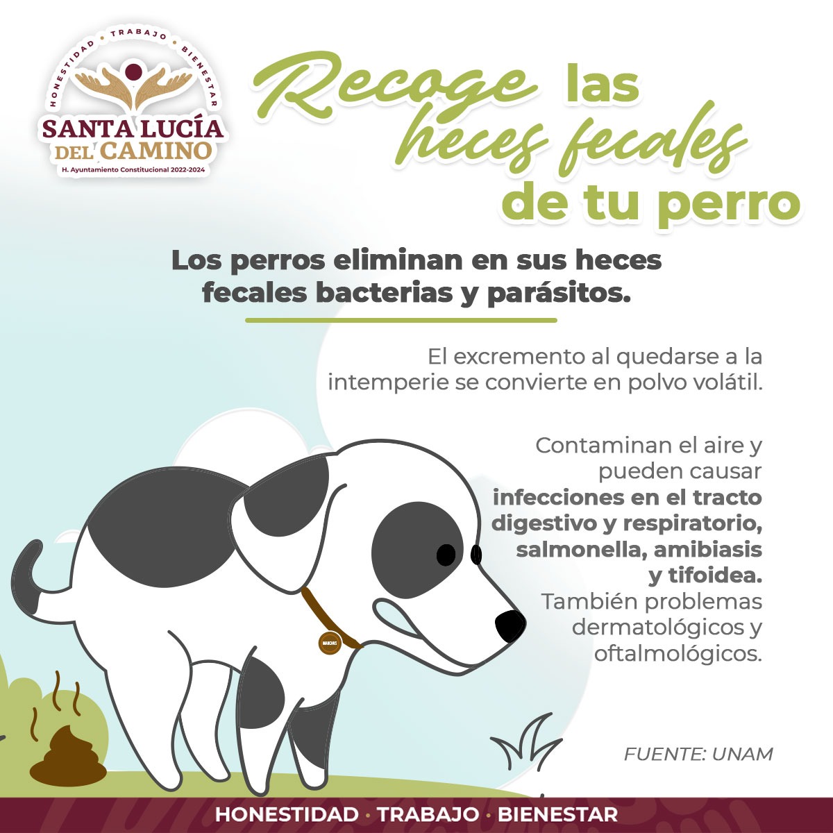 Ayuntamiento de Santa Lucía del Camino promueve cuidado responsable de animales de compañía