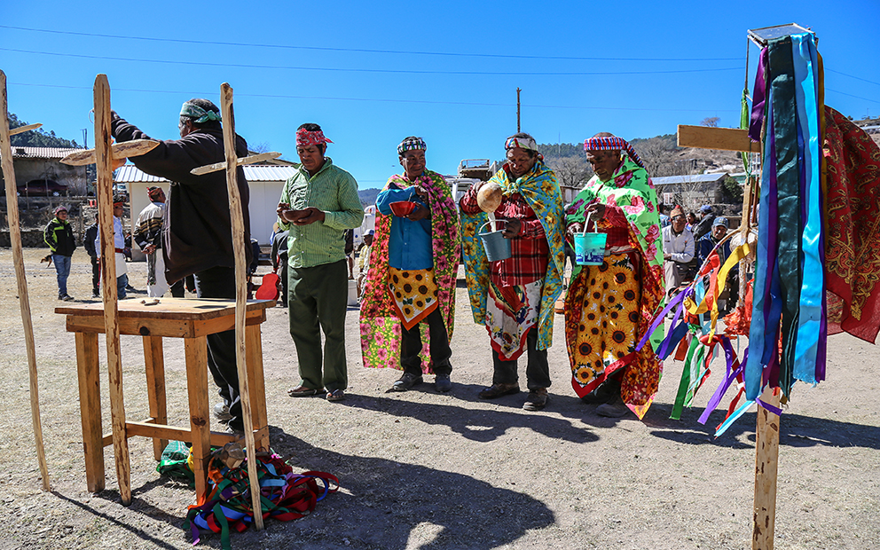 Curar la tierra y defenderla. La disputa por el territorio en la Sierra Tarahumara