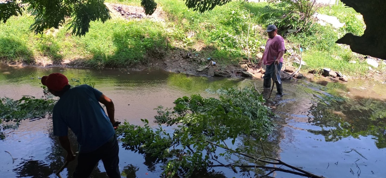 Realiza ayuntamiento limpieza y desazolve de dren natural de la colonia 10 de mayo