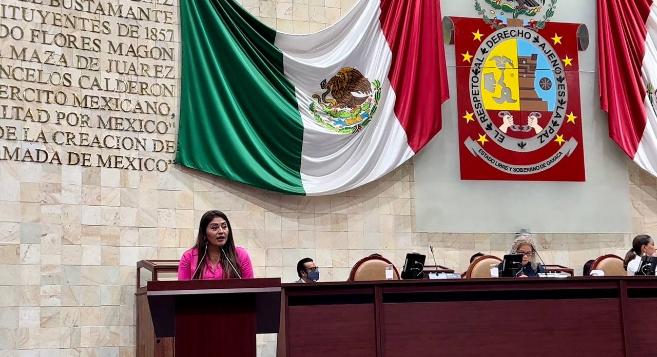 Liz Concha propone iniciativa de Ley contra el Ciberbullying y Acoso Escolar
