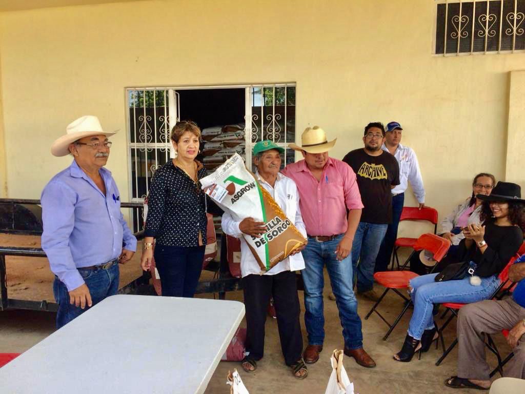 Gobierno de Oaxaca incumple con sorgueros del Istmo, les adeuda recursos desde el 2019