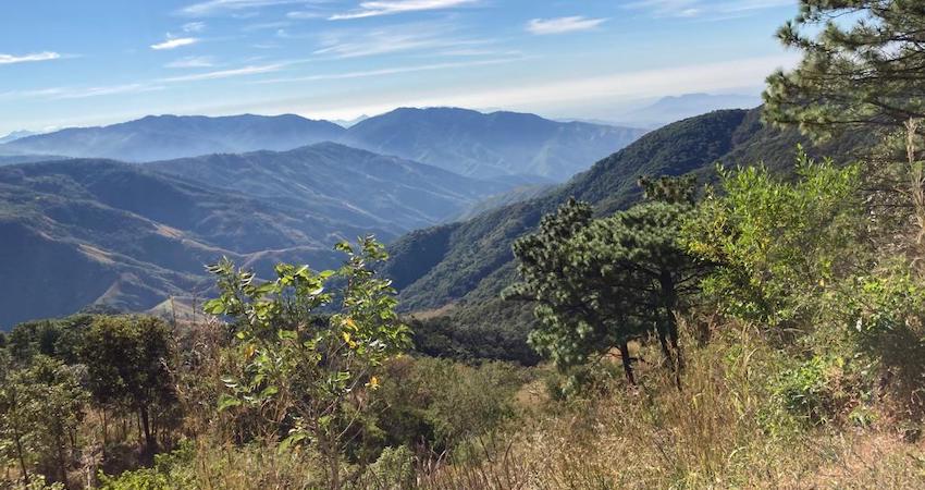 Propuesta de AMLO de crear una “reserva ecológica” en los Chimalapas crea división interna