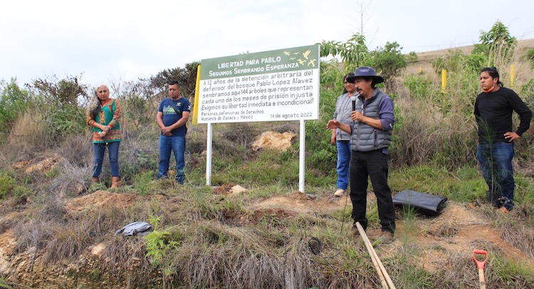 Siembran 144 árboles en el Cerro del Crestón en exigencia de libertad para el defensor de derechos humanos Pablo López Alavez