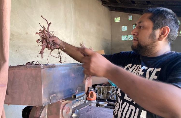 Jóvenes zapotecas impulsan economía solidaria con polvo de tepezcohuite