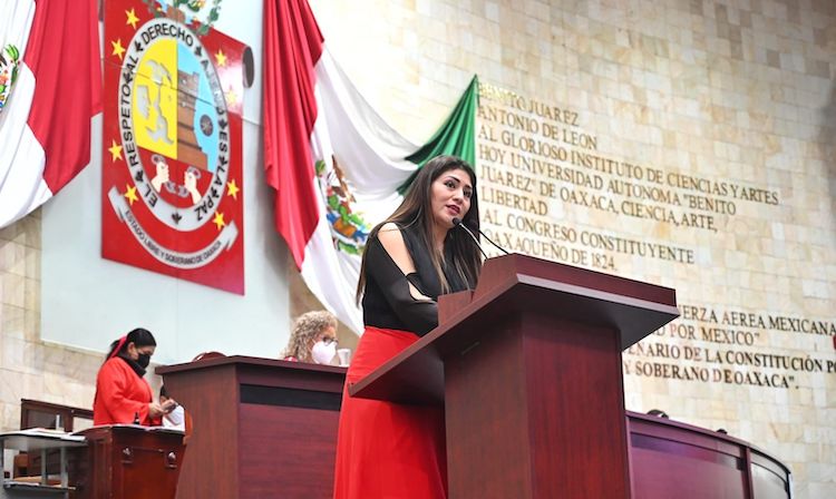 Menores, víctimas indirectas de feminicidio, deben recibir apoyo económico hasta la mayoría de edad: Iniciativa de Liz Concha