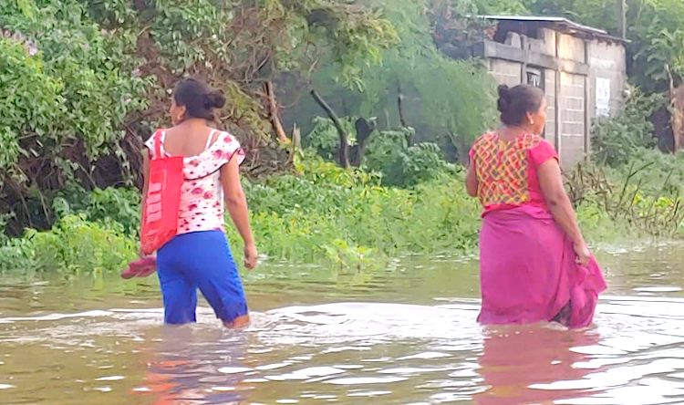 Pueblo ikoots de Oaxaca exige reubicación tras constantes inundaciones
