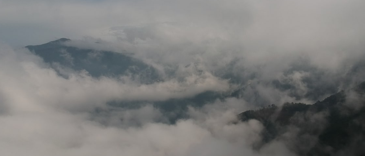 Sembradores en la niebla