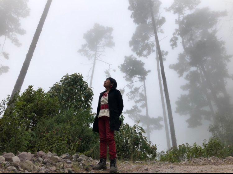 Un año sin Irma Galindo, la guardabosques Ñuu Savi que desapareció aun con protección federal